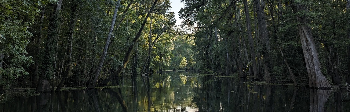 The Ichetucknee River, Columbia County, FL, Spring 2024