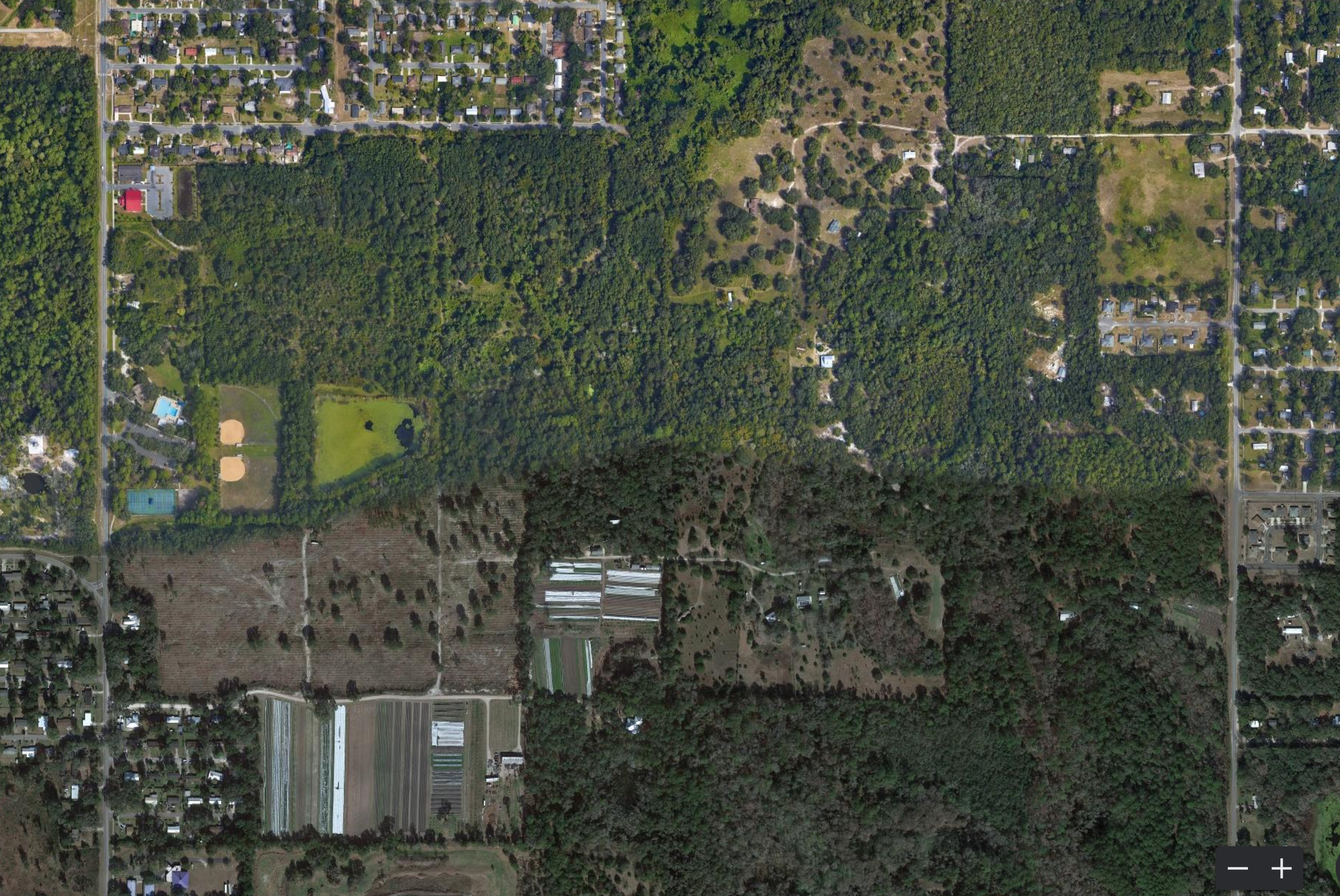 Post logging image of the blueberry farm